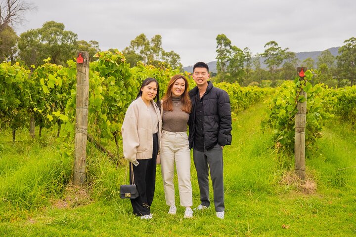 Yarra Valley Grazing Tour Wine, Cheese, Gin, Pizza from Melbourne