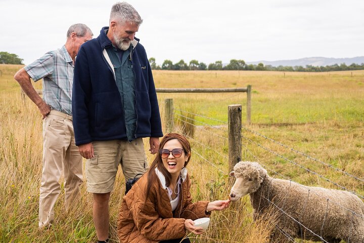Yarra Valley Grazing Tour Wine, Cheese, Gin, Pizza from Melbourne