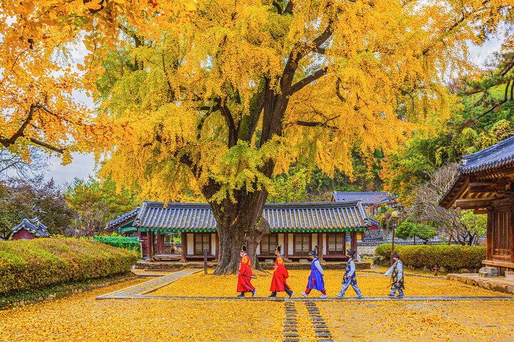 Genuine Korea Experience-Jeonju, Maisan, Damyang, Seonamsa Temple