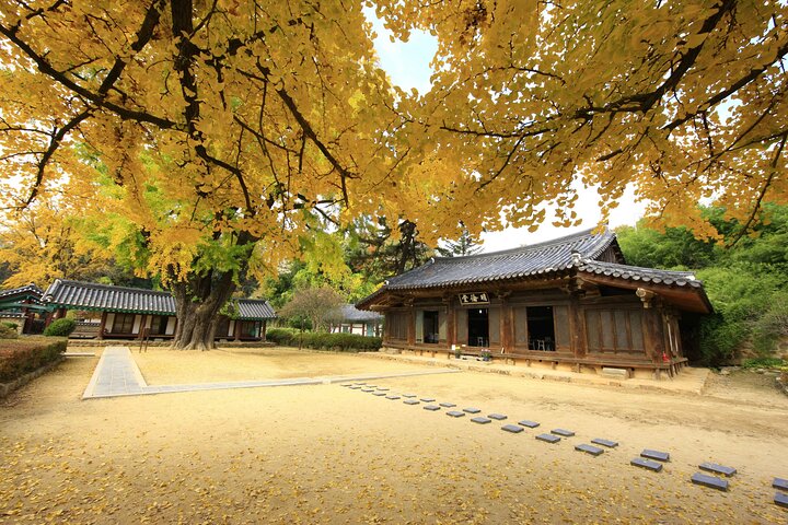 Genuine Korea Experience-Jeonju, Maisan, Damyang, Seonamsa Temple