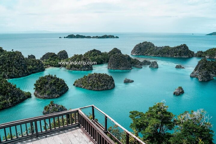 4 Days Tour and Snorkeling in Raja Ampat from Sorong