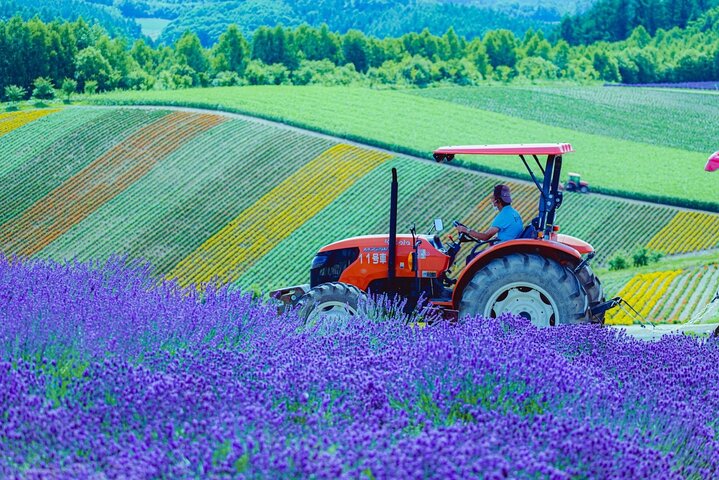 Hokkaido Biei Blue Pond Furano Flower Farm Ningle Terrace Trip