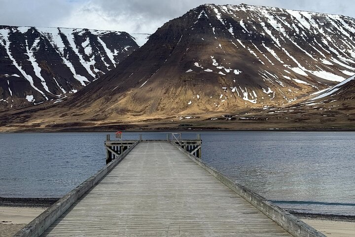4 Hour Isafjordur and Dynjandi Tour With Photo Stops