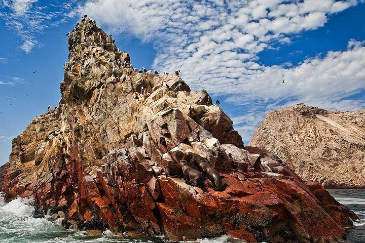 Lima to Paracas: Islands, Slave Tunnels & National Park in 1 day!