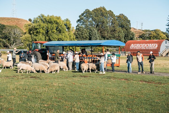 Agrodome Farm Experience including Farm Show and Farm Tour - Rotorua
