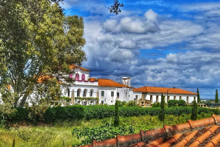 Mértola Alentejo Wine Tasting w/ Local Wines & Regional Petiscos