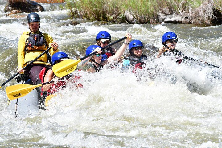 Bighorn Sheep Canyon Half Day Beginner Whitewater Rafting Tour
