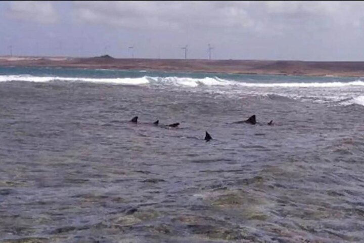 Boavista: Santa Monica beach, cave, sand dunes & shipwreck