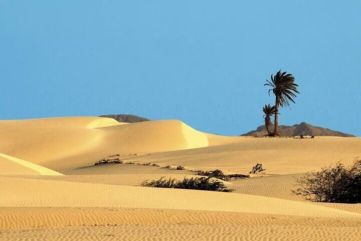 Boavista: Santa Monica beach, cave, sand dunes & shipwreck