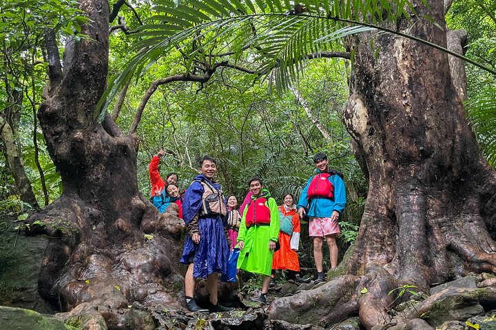 Iriomote’s Adventure: Pinaisara Falls Canoe and Trekking Tour