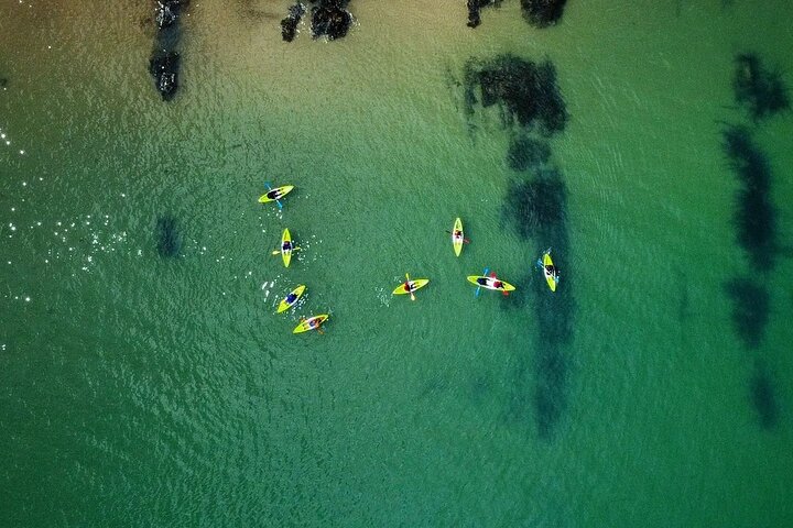 Guided kayaking trip exploring the secrets of the Tenby coastline