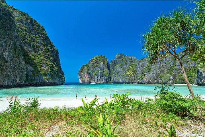 Phi Phi, Maya & Khai Island by Sawanu Speed Catamaran