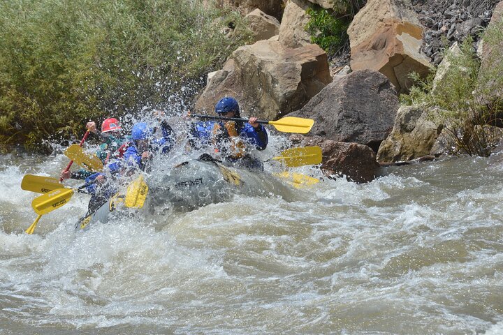 Bighorn Sheep Canyon Half Day Beginner Whitewater Rafting Tour