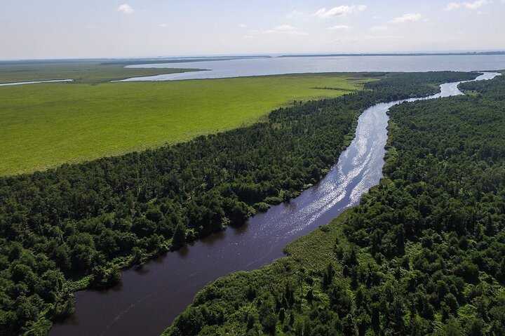 Discover the Georgian Amazon – Tour from Batumi