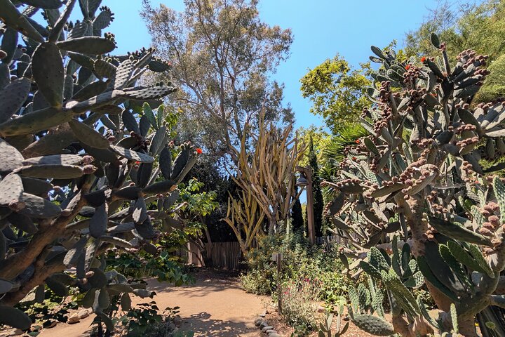 Private Scavenger Hunt in San Juan Capistrano Tour