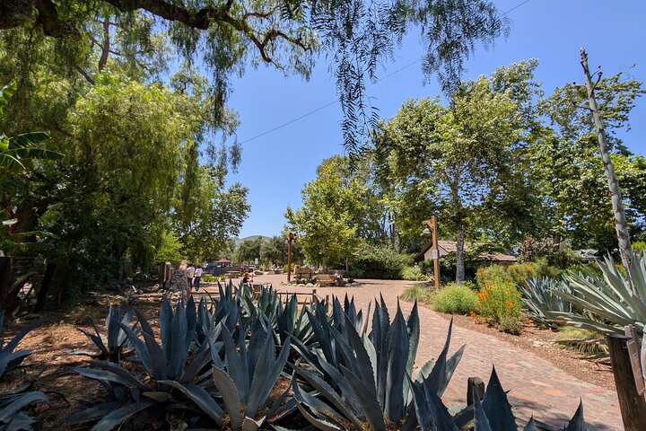 Private Scavenger Hunt in San Juan Capistrano Tour