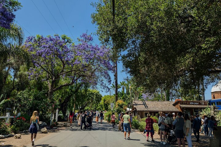 Private Scavenger Hunt in San Juan Capistrano Tour