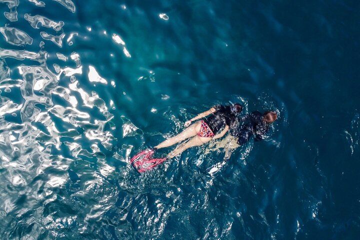 Koh Tao and Nang Yuan Snorkeling Day Trip from Koh Pha Ngan