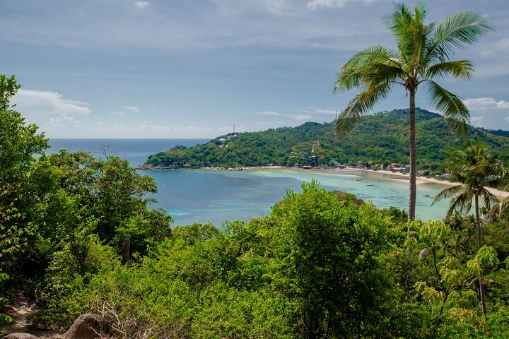Koh Tao and Nang Yuan Snorkeling Day Trip from Koh Pha Ngan
