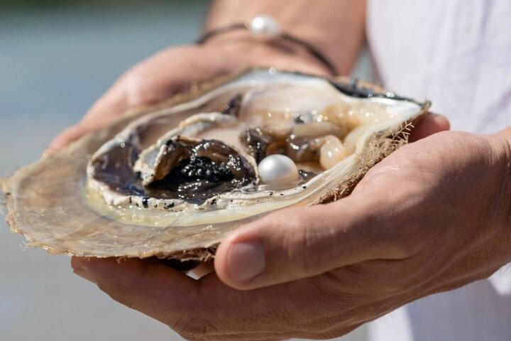 Broome Town Tour: Discover Broome, Beaches & History