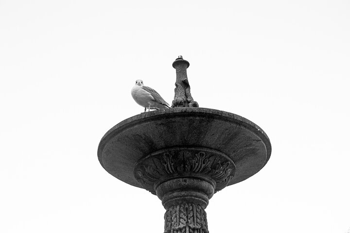Discover Vigo : Private Historical and Cultural Walking Tour