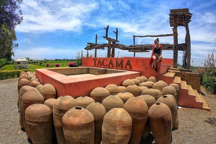2 Day Tour from Lima: Paracas, Huacachina, Tunnels & Vineyard