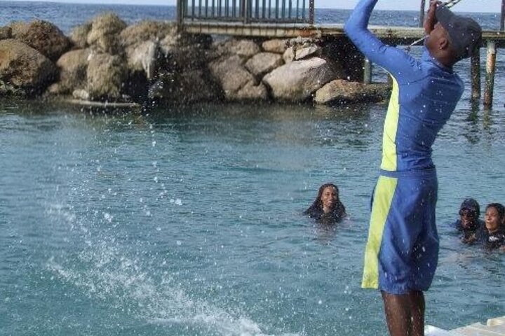 Private Dolphin Cove Adventure