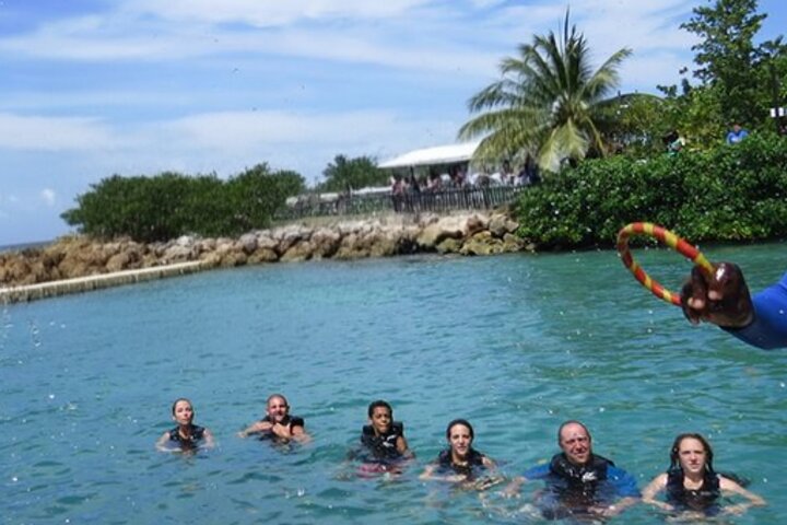 Private Dolphin Cove Adventure