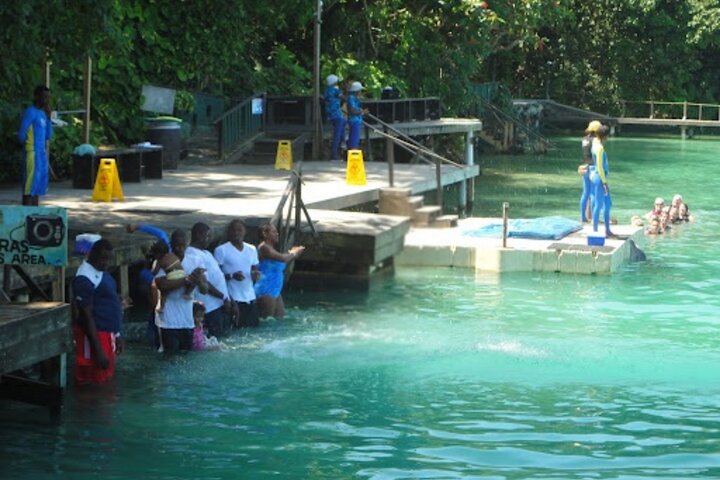 Private Dolphin Cove Adventure