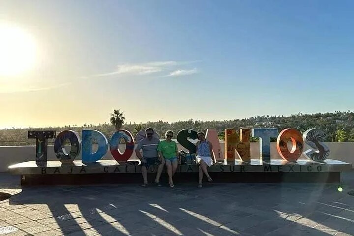 Private Airport Transfer from Todos Santos