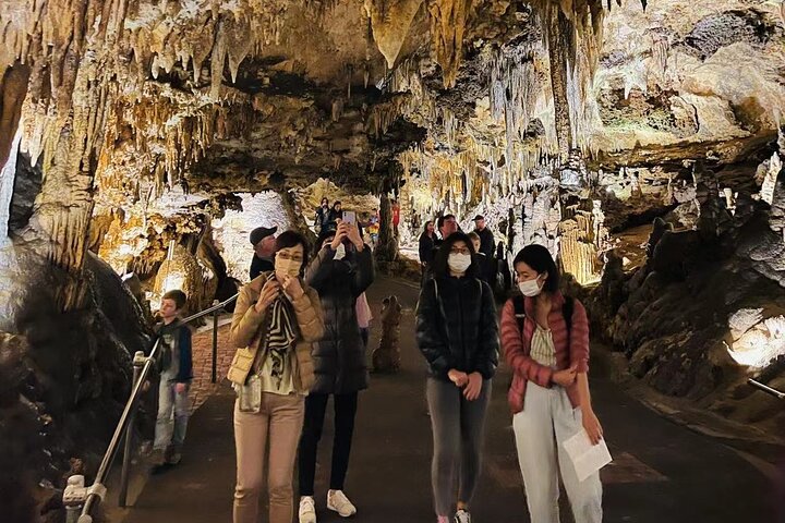 Shenandoah National Park, Luray Caverns Small Group from D.C.