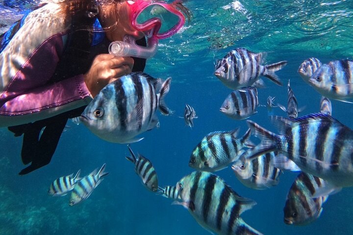 Blue Cave & Tropical Fish Private Snorkeling !Free Photo Gift