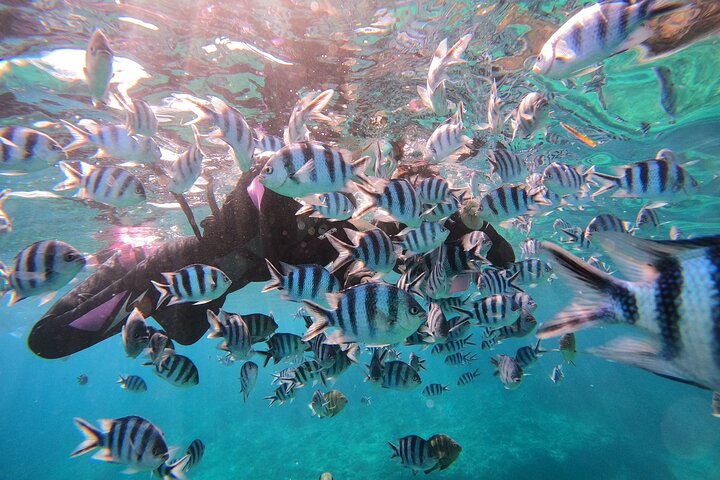 Blue Cave & Tropical Fish Private Snorkeling !Free Photo Gift