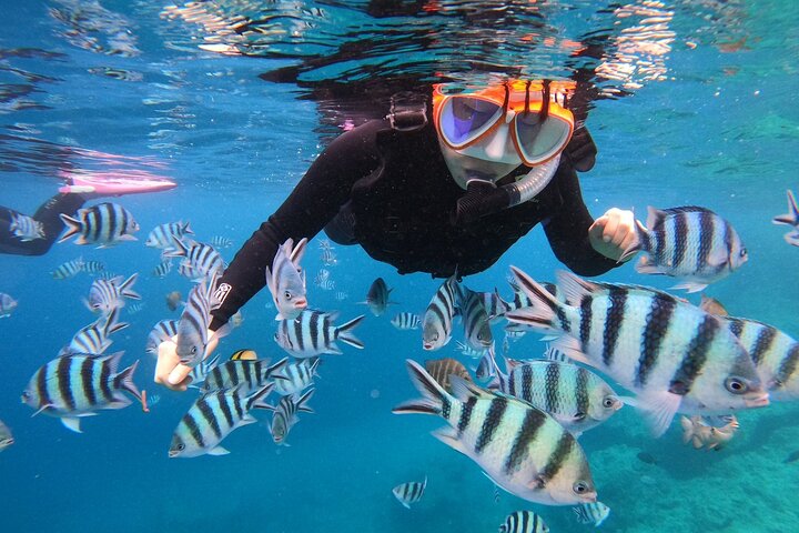 Blue Cave & Tropical Fish Private Snorkeling !Free Photo Gift