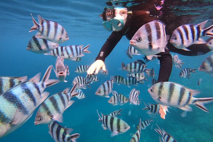Blue Cave & Tropical Fish Private Snorkeling !Free Photo Gift