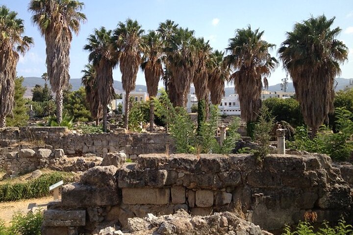 Private Half Day Tour of Kos History and Landmarks