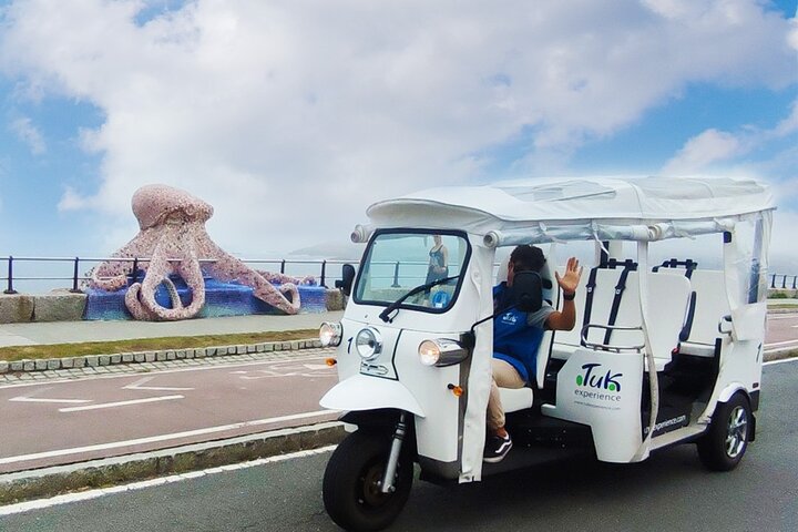 Private PREMIUM Tour in Tuk tuk A Coruña