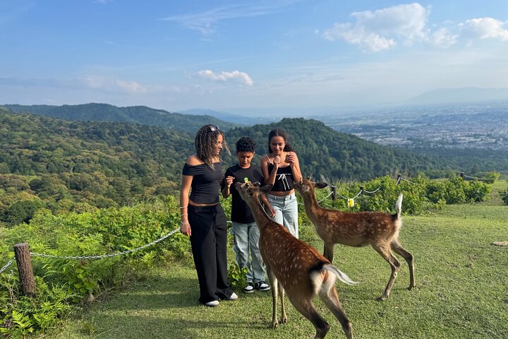 Discover Ancient Nara: Private Car Tour from Kyoto or Osaka