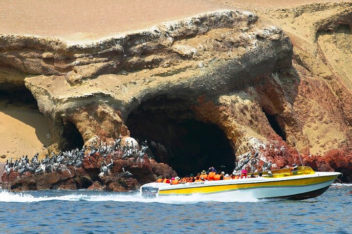2 Day Tour from Lima: Nazca Lines Flight, Paracas, and Huacachina