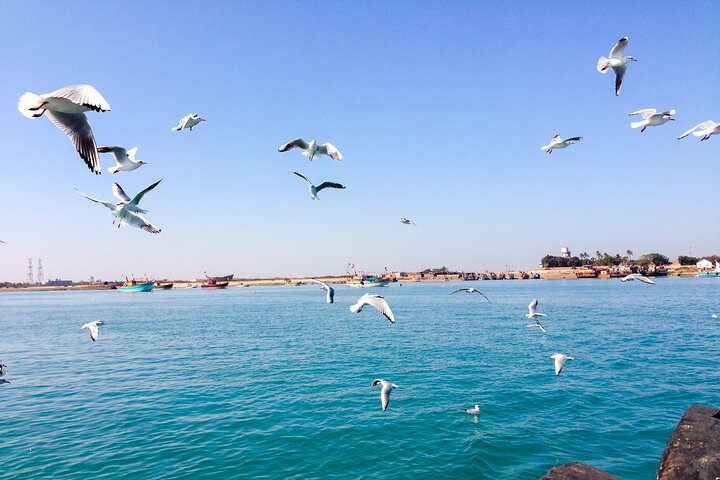 4 Days Private Somnath Jyotirlinga and Dwarka Tour