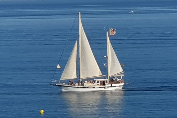 Dolphin Watching Adventure in Estepona Bay