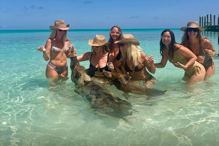 Rose Island Swimming Pigs & Beach Snorkeling Experience Nassau.