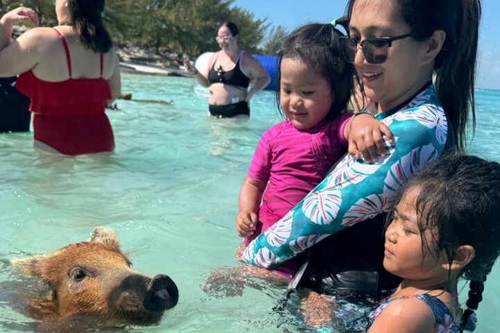 Rose Island Swimming Pigs & Beach Snorkeling Experience Nassau.
