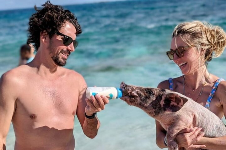 Rose Island Swimming Pigs & Beach Snorkeling Experience Nassau.