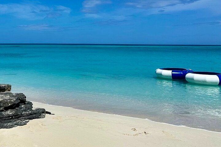 Rose Island Swimming Pigs & Beach Snorkeling Experience Nassau.