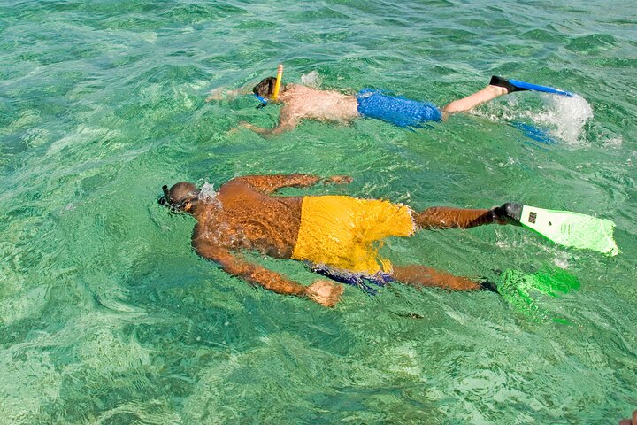 Rose Island Swimming Pigs & Beach Snorkeling Experience Nassau.