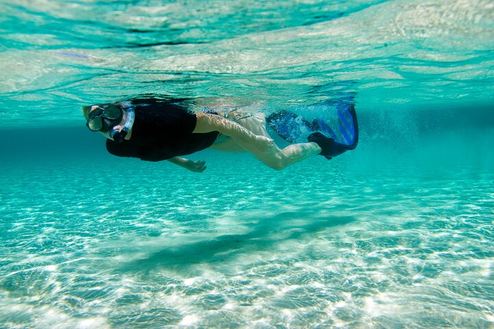 Rose Island Swimming Pigs & Beach Snorkeling Experience Nassau.