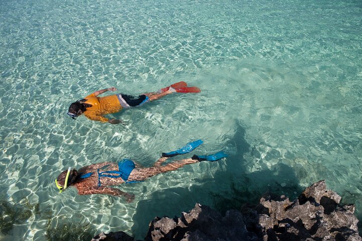 Rose Island Swimming Pigs & Beach Snorkeling Experience Nassau.