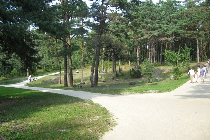 Discover Lithuania's Treasures from Klaipeda: Shore Excursion
