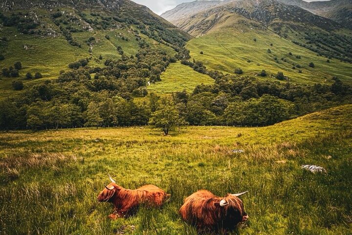 Isle of Skye Day Tour from Fort William